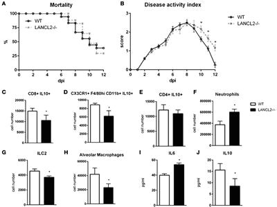 Y Strainer Drawing Frontiers Lanthionine Synthetase C Like 2 Modulates Immune