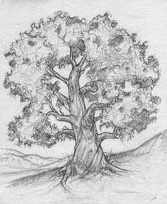 Y Tree Drawing 156 Best Drawing Trees Images In 2019 Drawing Trees Tree Drawings