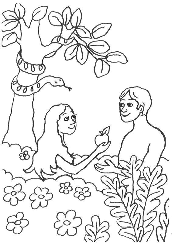 Adam and Eve Easy Drawing Adam Und Eva Sundenfall Ausmalbilder Ausmalen Und Sundenfall