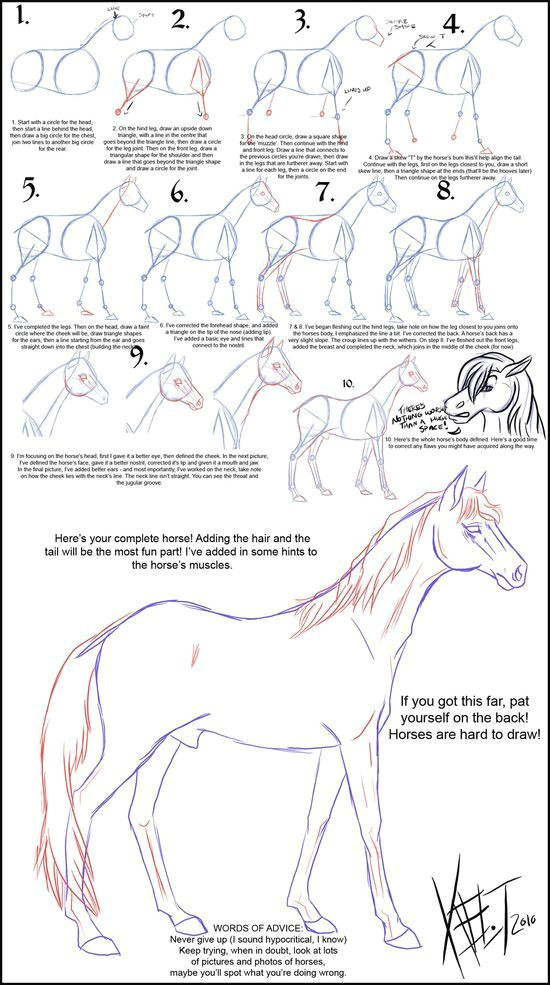 Animals that You Can Draw How to Draw A Horse Art Drawings Drawings Drawing Techniques