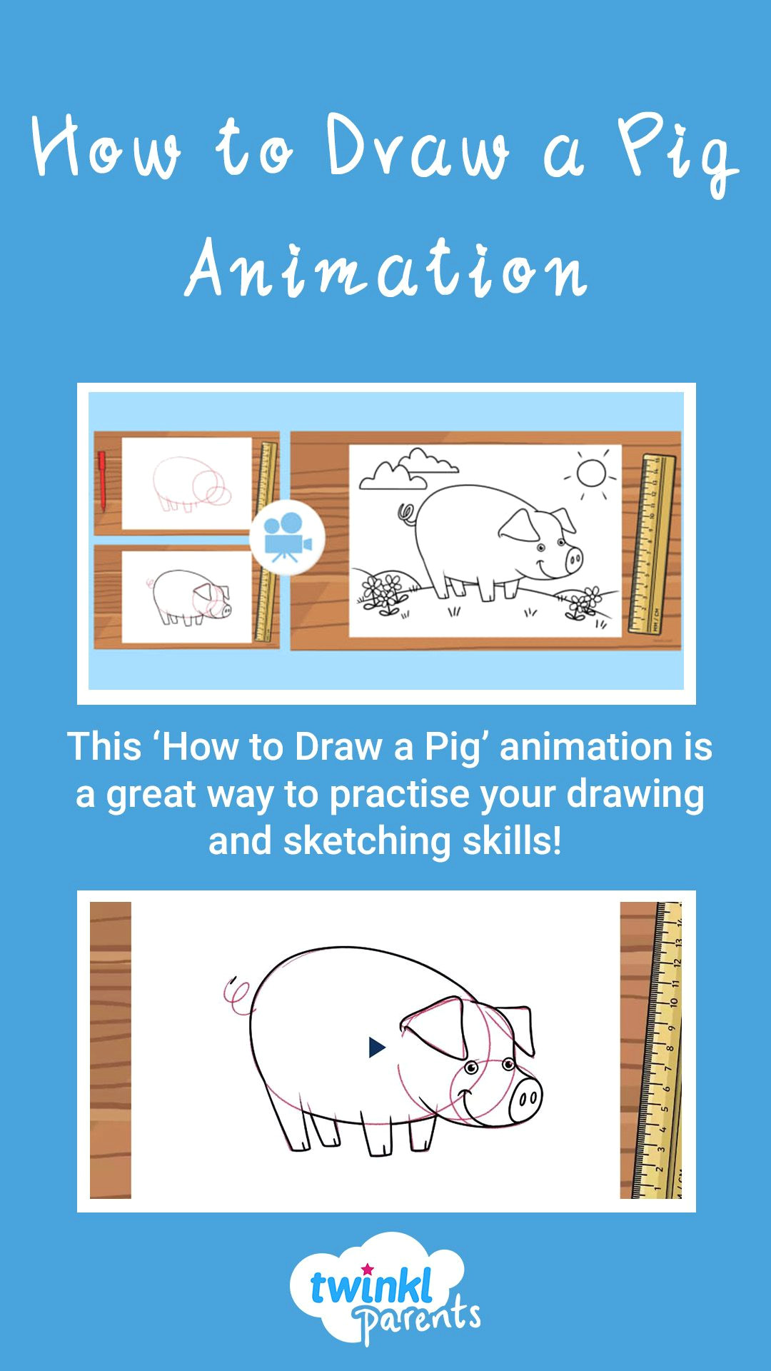 Animals that You Can Draw Sketching and Drawing is An Art Skill which Needs to Be