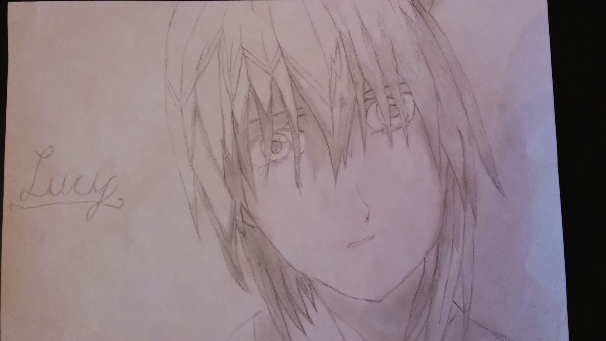 Anime Line Drawing Lucy Anime Community Germany