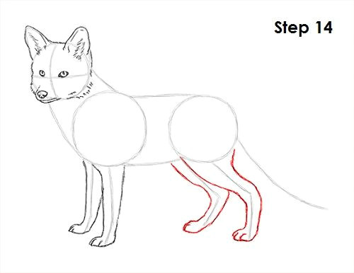 Arctic Fox Drawing Easy Red Fox Drawing 14 Fox Sketch Fox Drawing Fox Painting