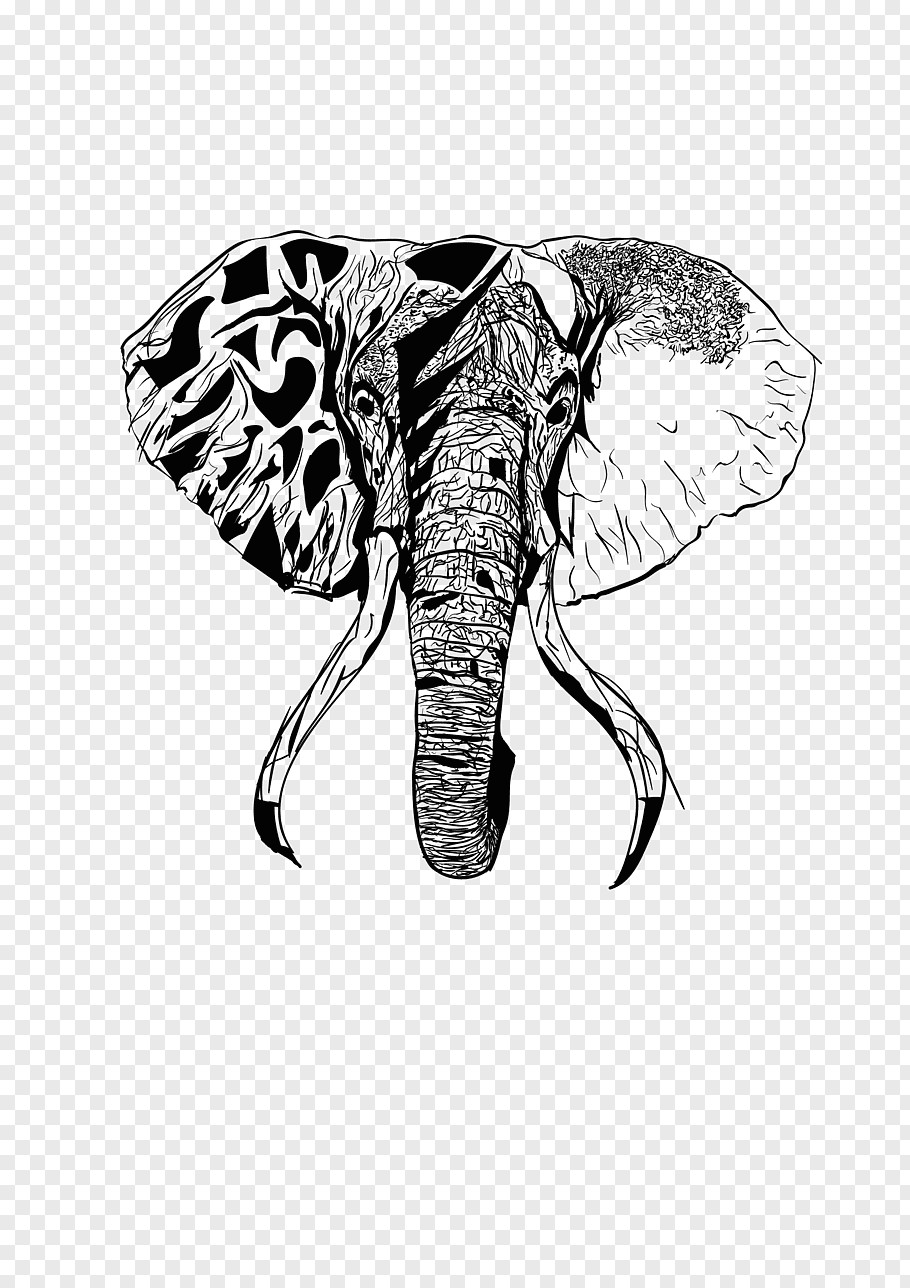 Artists that Draw Animals butterfly Stencil Elephant Drawing Indian Elephant