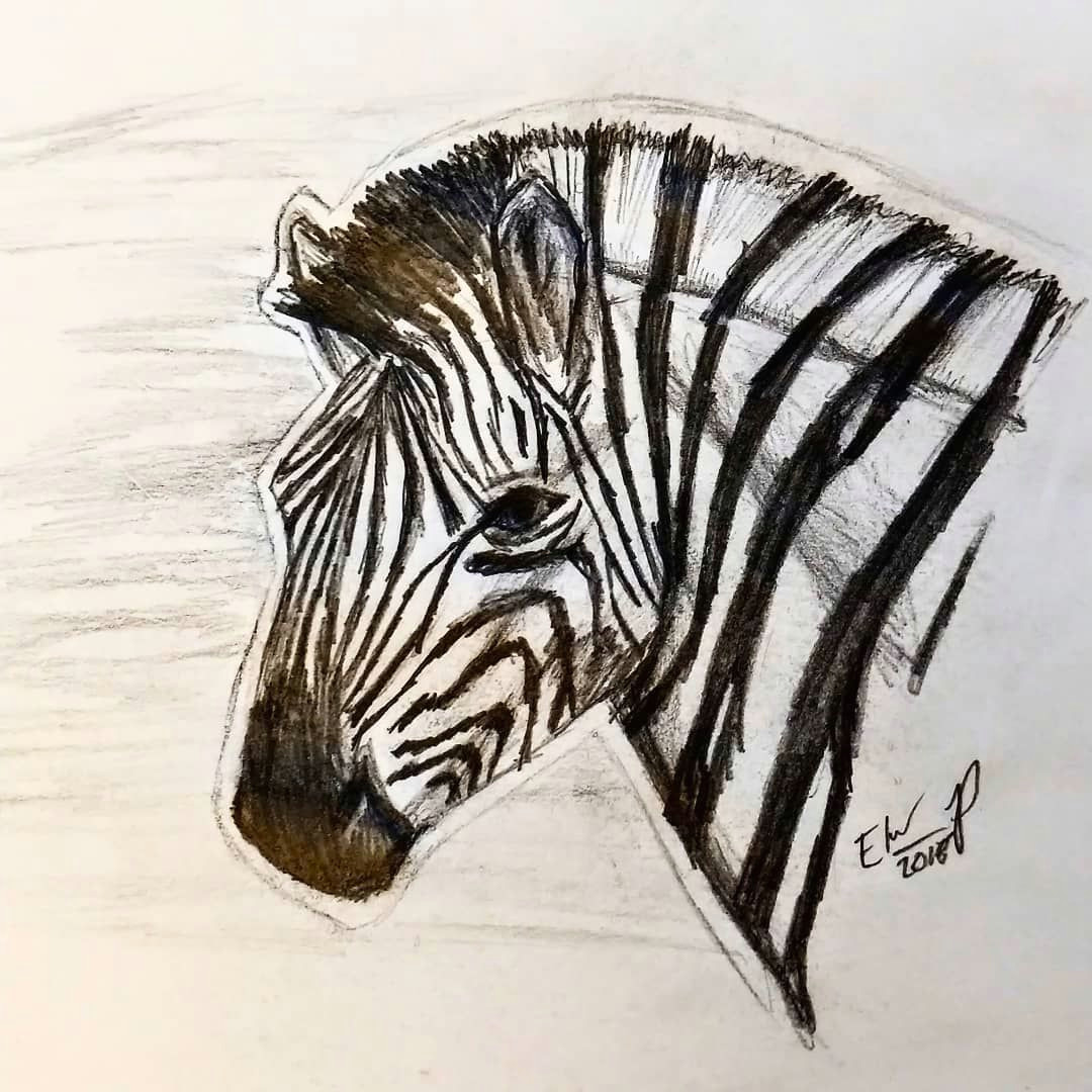 Artists that Draw Animals Zebra Dailysketch Sketch Sketching Art Draw Drawing