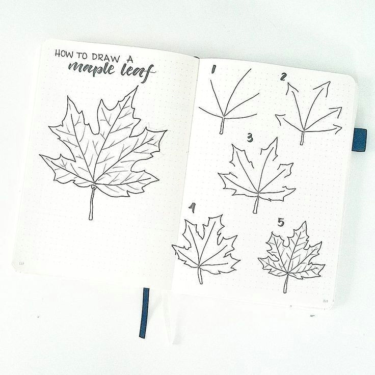 Autumn Drawing Ideas Pin by Archer On Christmas Bullet Journal Bullet Journal