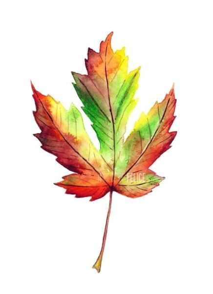 Autumn Drawing Ideas Pinterest