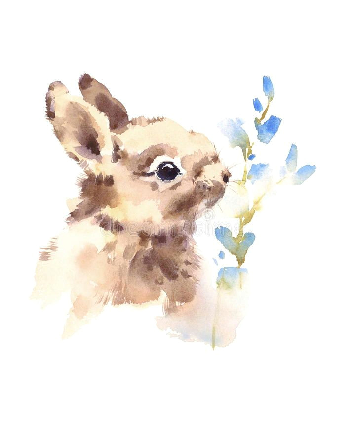Baby Cute Animal Drawings Image Result for Watercolor Cute Animals Bunny Painting