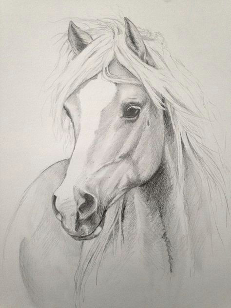 Beautiful Animal Drawings Beautiful Drawing by Carmela Horse Drawings Pencil