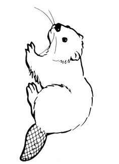 Beaver Drawing Easy 58 Best Beaver Images Wood Badge Beaver Drawing Animal