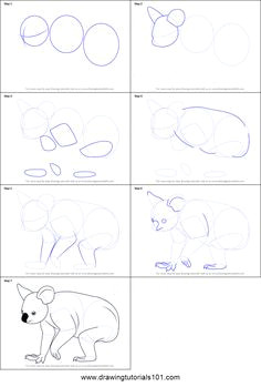 Beaver Drawing Easy 794 Best Draw Zoo Animals Images In 2020 Drawings Zoo