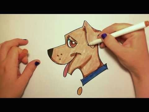 Beginner Easy Dog Drawing Learn How to Draw Easy A Cute Dog Icanhazdraw Youtube