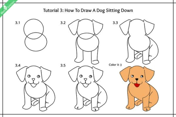 Beginner Easy Dog Drawing Sitting Dog Front Drawing Puppy Drawing Easy Puppy