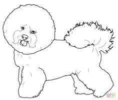 Bichon Frise Drawing Easy 114 Best Bichon Frise Images Bichon Frise Bichon Dog Pom