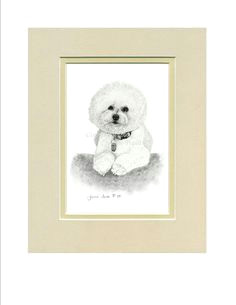 Bichon Frise Drawing Easy 19 Best Bichon Frise Tattoo Images Bichon Frise Bichon