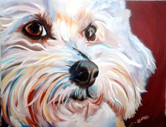 Bichon Frise Drawing Easy Oil Pet Portrait Bichon Frise Www Zapatastudios Com Pet