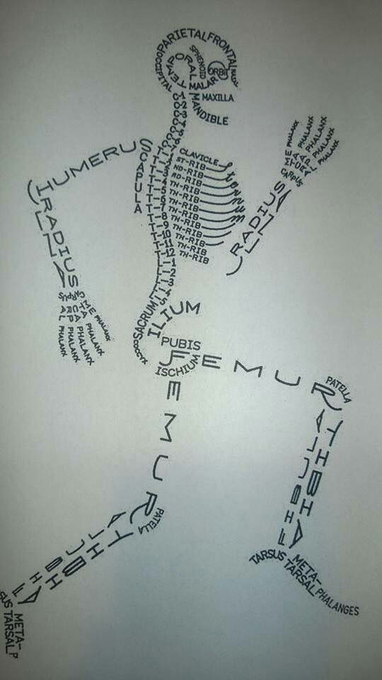 Body Parts Drawing Easy Skeleton Drawing with All the Names Of the Bones Nurse