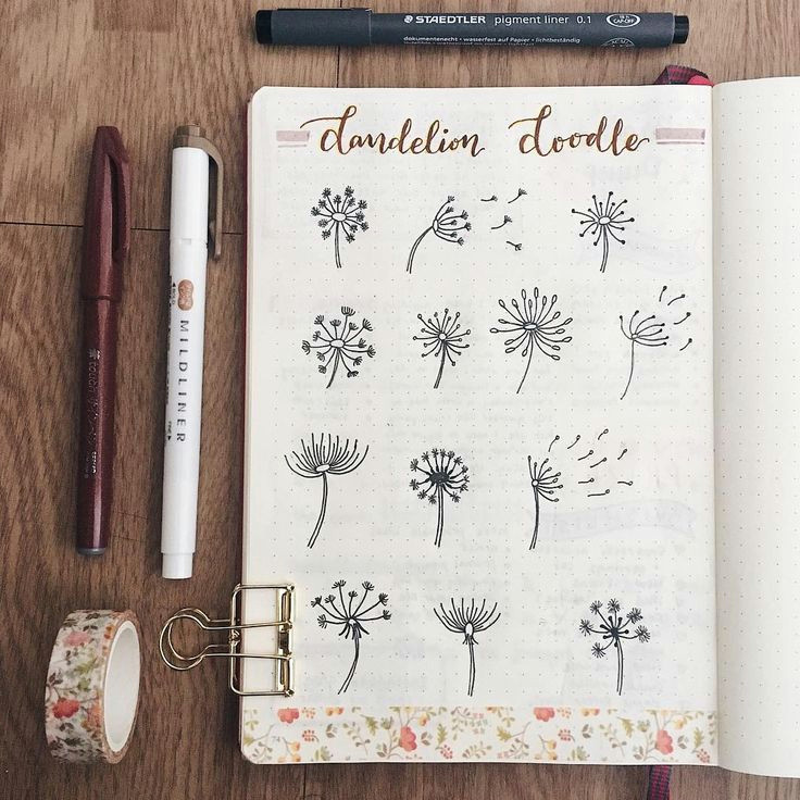 Bullet Journal Drawing Ideas Bullet Journal Dandelion Drawing Ideas Evasbujo Bullet