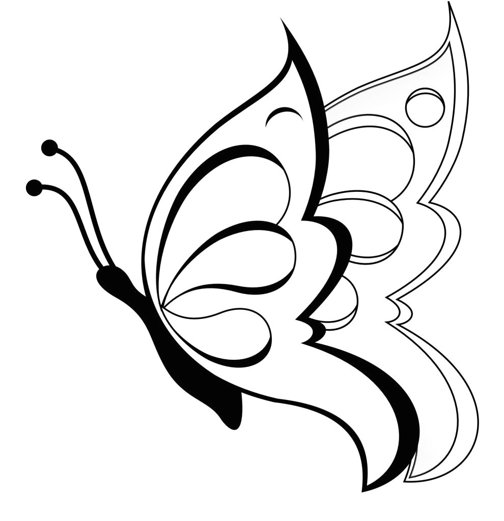 Butterfly and Flower Easy Drawing 990×1024 Simple butterfly Sketch Simple Drawing Of A