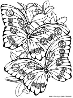 Butterfly Drawings with Color Easy 30 Best Super Coloring Pages Images Coloring Pages Adult