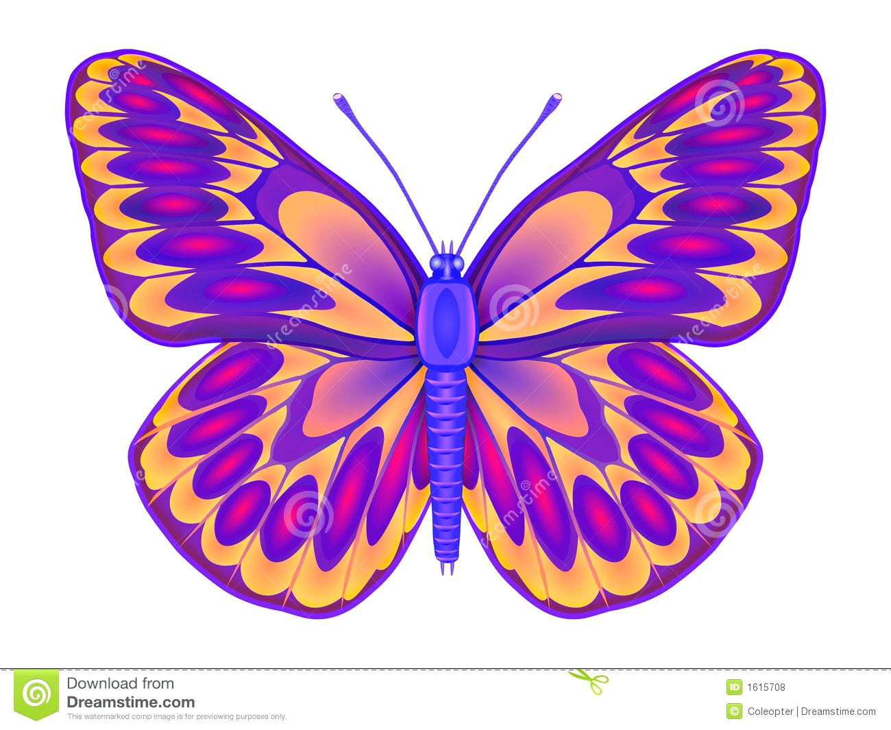 Butterfly Drawings with Color Easy Coloring Pages Splendiy Pictures to Color Image