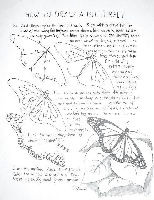 Butterfly Drawings with Color Easy How to Draw A butterfly X butterfly Pinterest Drawings