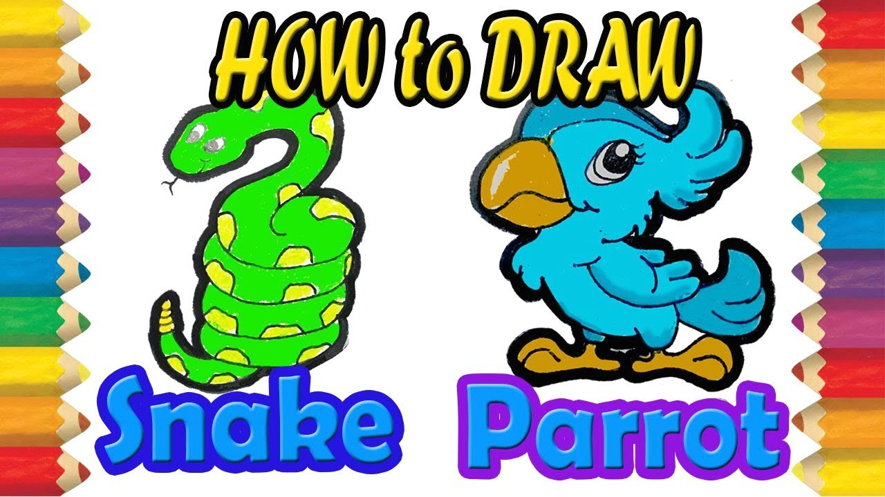 Charizard Drawing Easy Easy Drawing How to Draw Parrot and Snake Animals