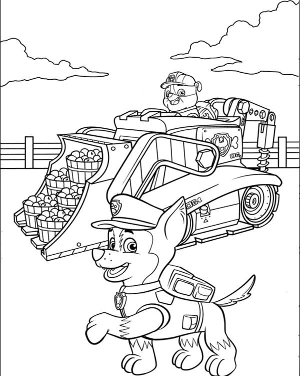 Chase Paw Patrol Easy Drawing Rubble On His Construction Truck and Chase Paw Patrol