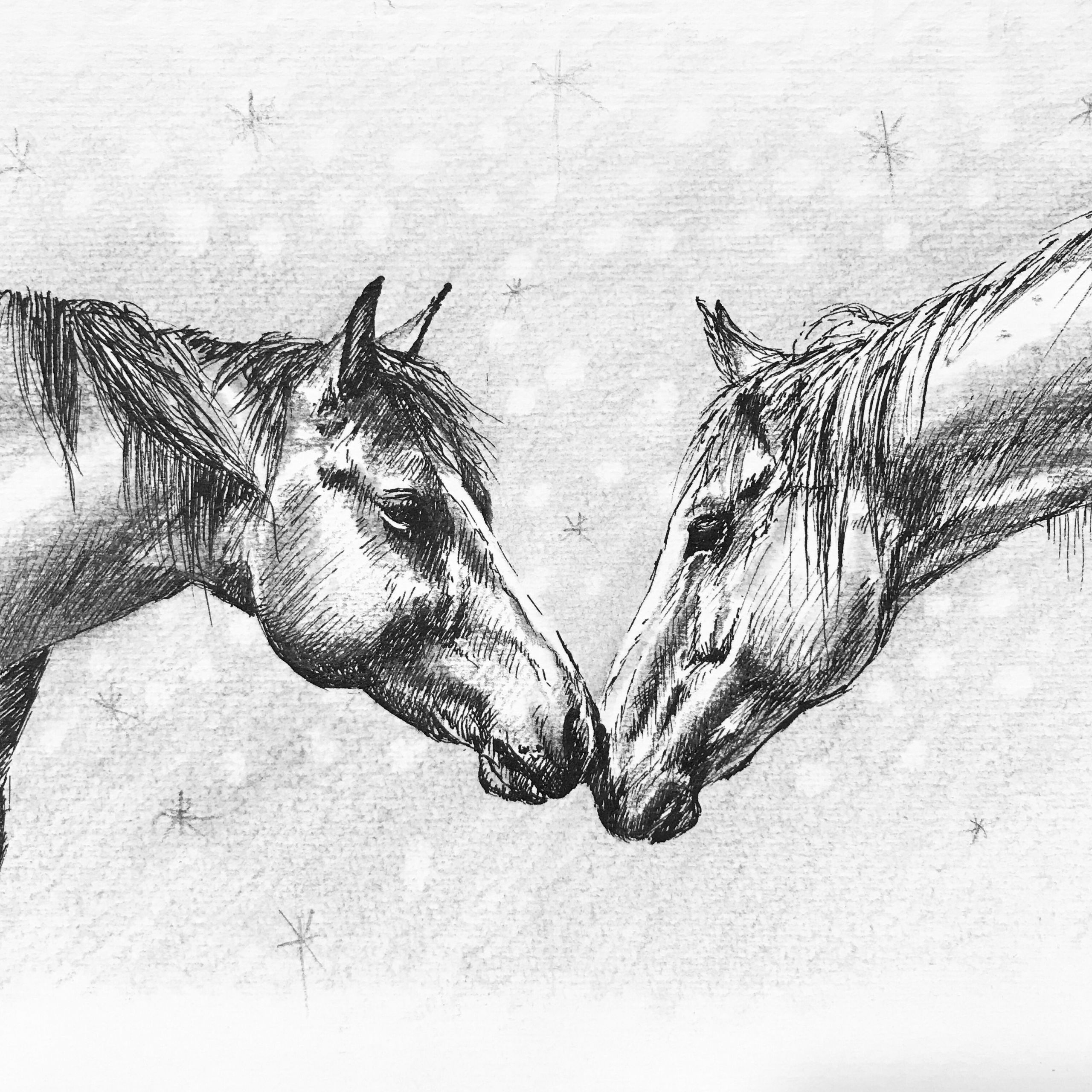 Christmas Animal Drawings An Ink Drawing for the Paardverzameld Christmas Challenge
