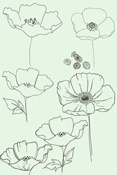 Cool Easy Flowers to Draw 773 Best Flower Drawings Images Drawings Flower Doodles