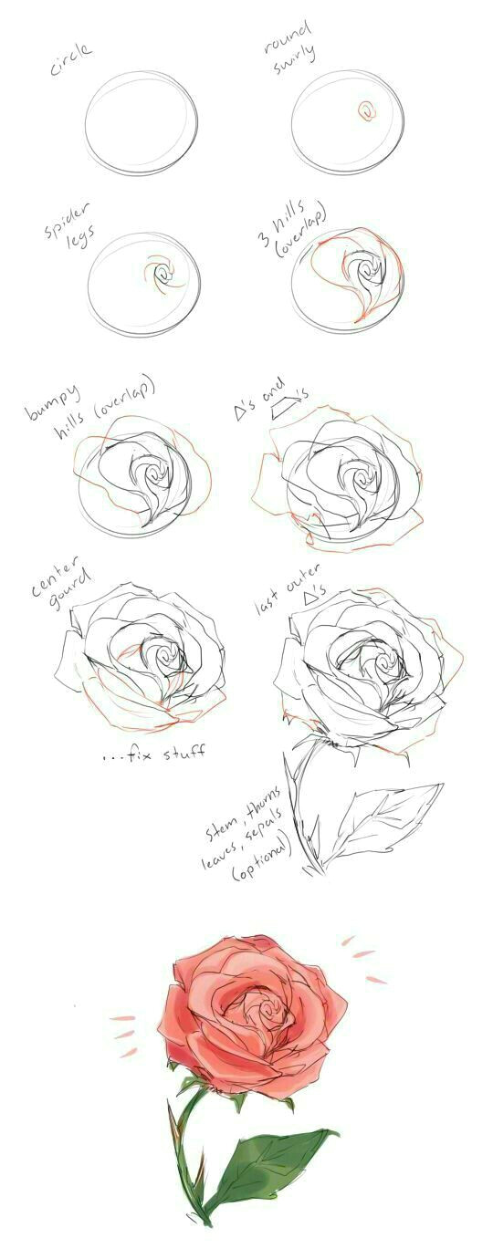 Cool Easy Flowers to Draw Anleitung Zum Zeichnen Einer Rose Zeichnungen Art