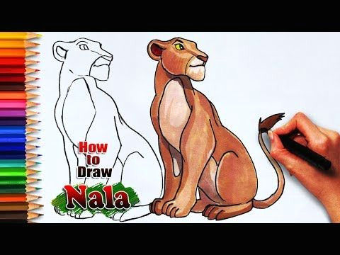 Cougar Animated Drawing How to Draw Nala From the Lion King the Lioness Drawing