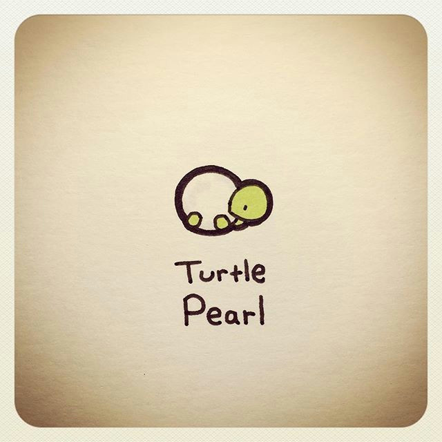 Cute Easy Apple Drawing Websta Turtlewayne Turtle Pearl Cute Turtle Drawings
