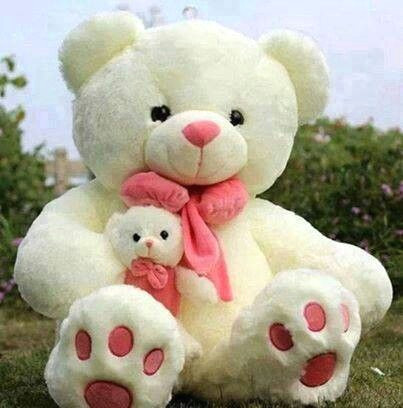 Cute Stuffed Animal Drawings Pin About Huge Teddy Bears and Teddy Bear Pictures On Memory