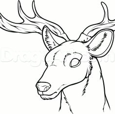 Deer Head Drawing Easy 1327 Best Drawing for Beginners Images In 2020 Drawings