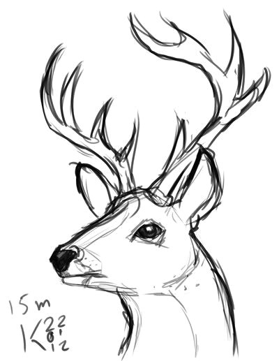 Deer Head Drawing Easy Pin Od Wika Na Szkice A I W 2019 Rysunki Pomysa Y Na