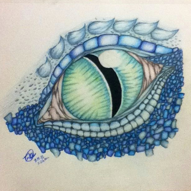 Dragon Eye Drawing Easy 1000 Ideas About Dragon Drawings On Pinterest Dragon Art
