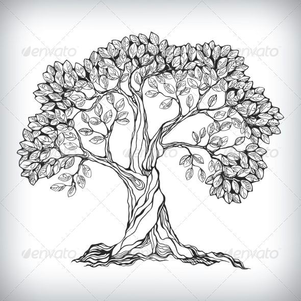 Draw A Tree Easy Drawn Plant Peepal Tree Pencil and In Color Drawn Plant