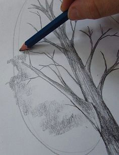 Draw A Tree Easy How to Draw A Tree Drawings Pencil Drawings Art Drawings