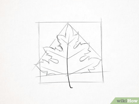 Draw Leaves Easy How to Draw A Maple Leaf 10 Steps with Pictures Wikihow