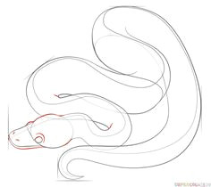 Draw Lessons From the Animal Kingdom and Illustrate Die 36 Besten Bilder Von Schlangen Zeichnen Schlangen