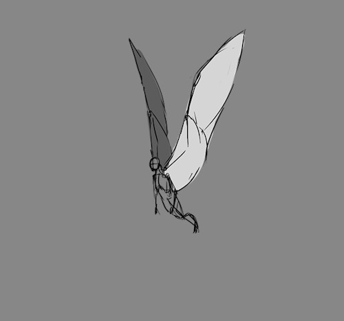 Drawing Animation In Photoshop for Feathers Great and Small Animation Reference