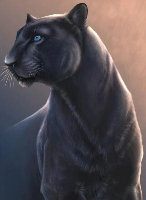 Drawing Black Panther Animal Black Panther Spirit Animal Cute Animals Cat Art