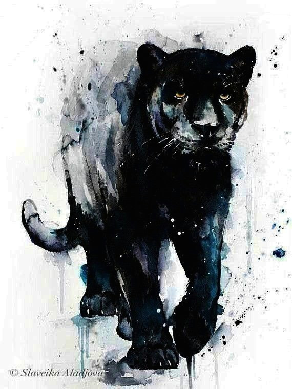 Drawing Black Panther Animal Inneneinrichtung Dibujokunstdruck Kunstaquarell