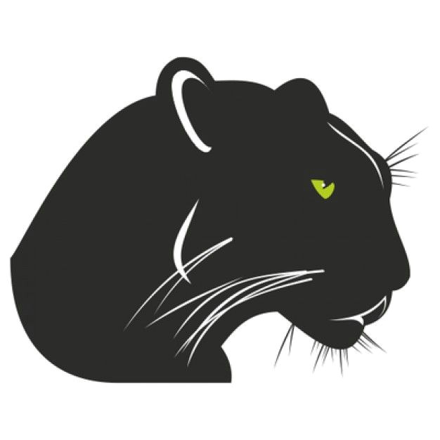 Drawing Black Panther Animal Panther with Angry Green Eyes Free Vector Panther Black