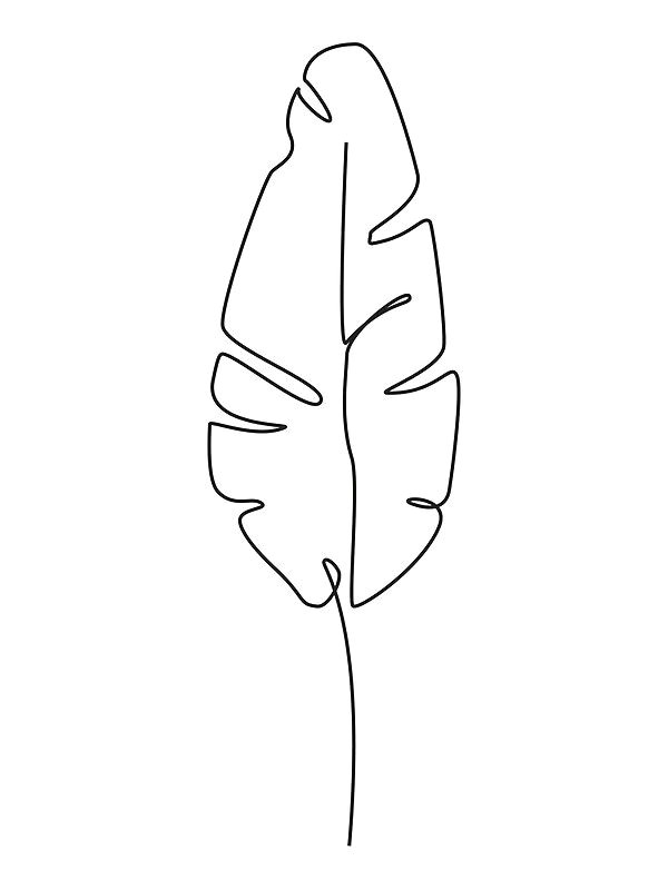 Easy Banana Drawing One Line Drawing Contour Drawing Of Banana Leaf Poster