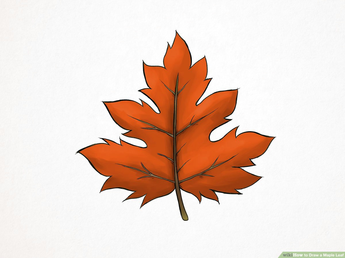 Easy Canada Flag Drawing How to Draw A Maple Leaf 10 Steps with Pictures Wikihow