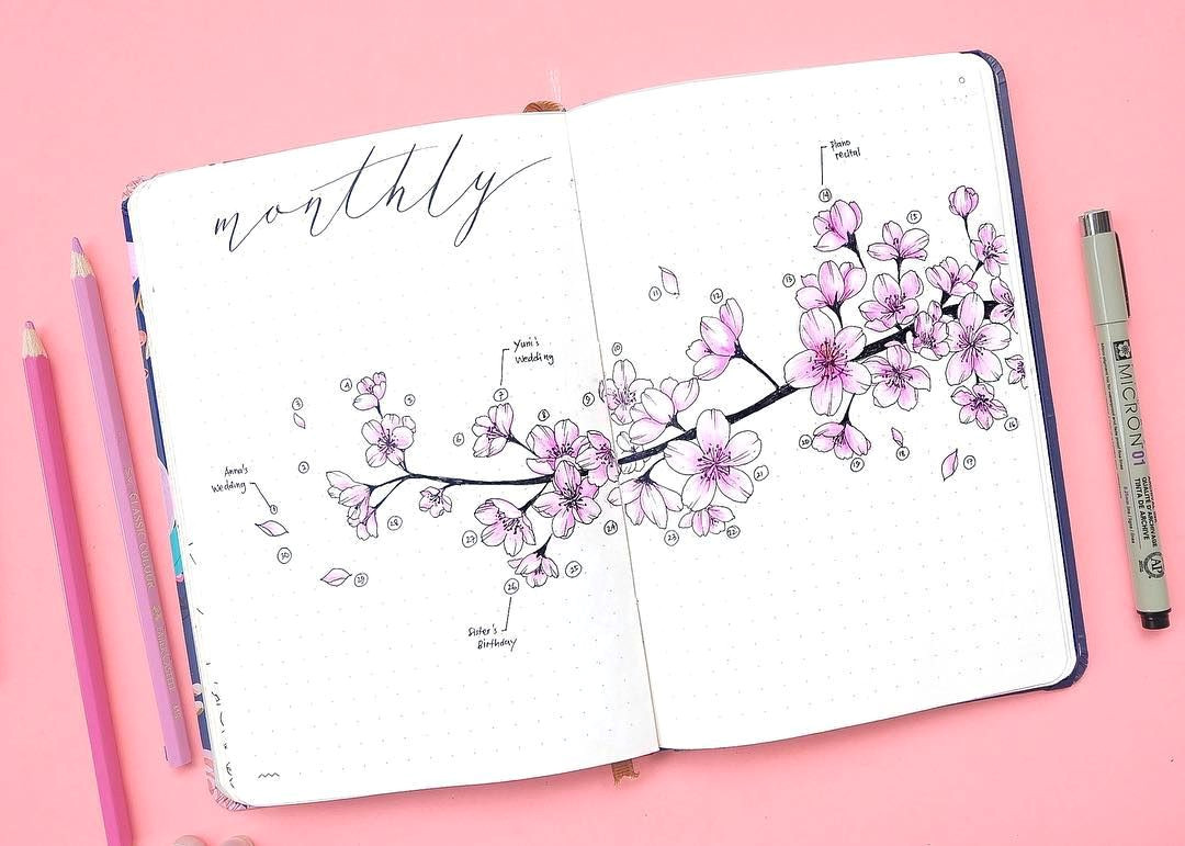 Easy Cherry Blossom Drawing Bullet Journal Monthly Log Cherry Blossoms Drawing