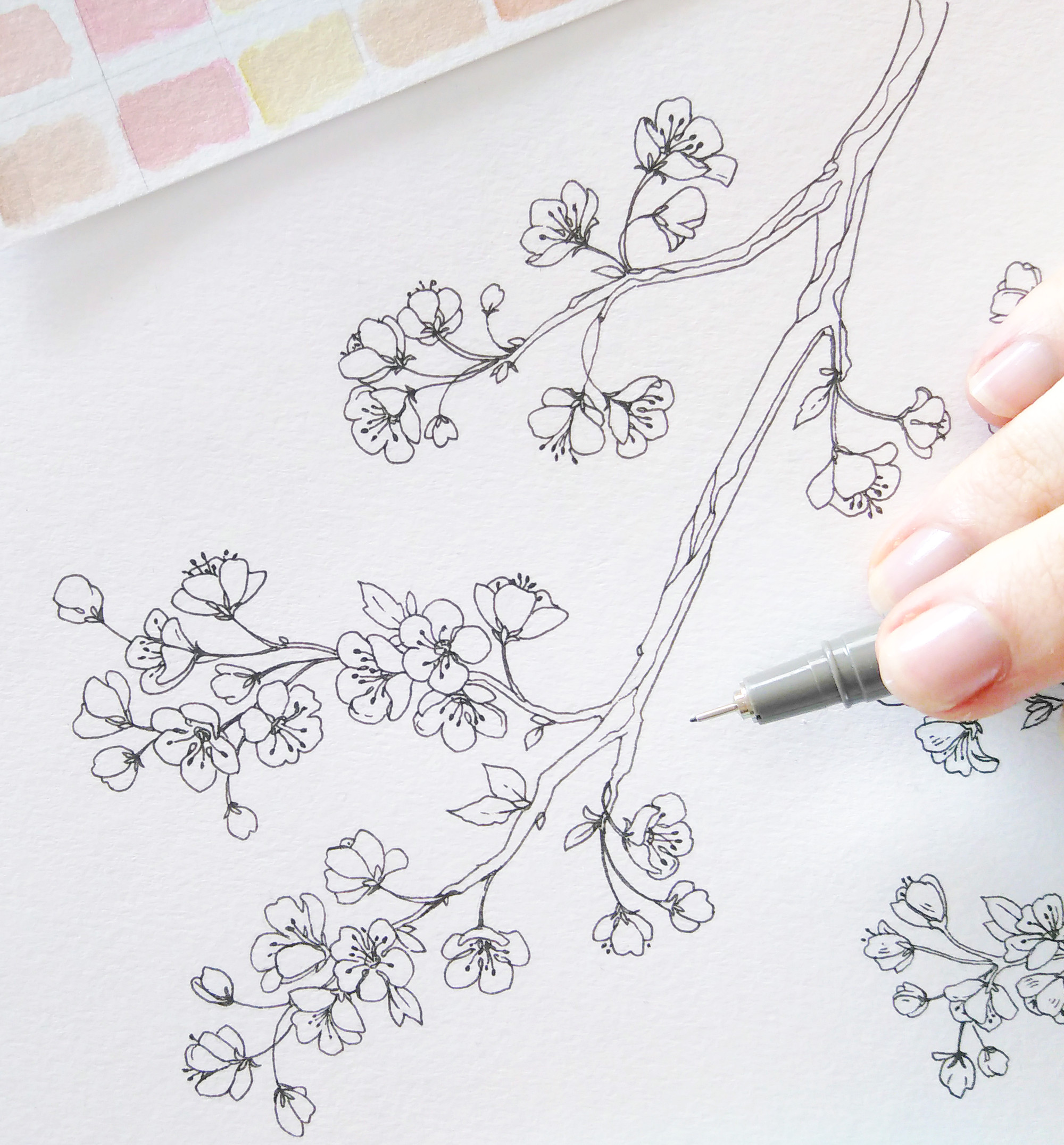 Easy Cherry Blossom Drawing Spring Bullet Journal Layout Cherry Blossoms Bullet