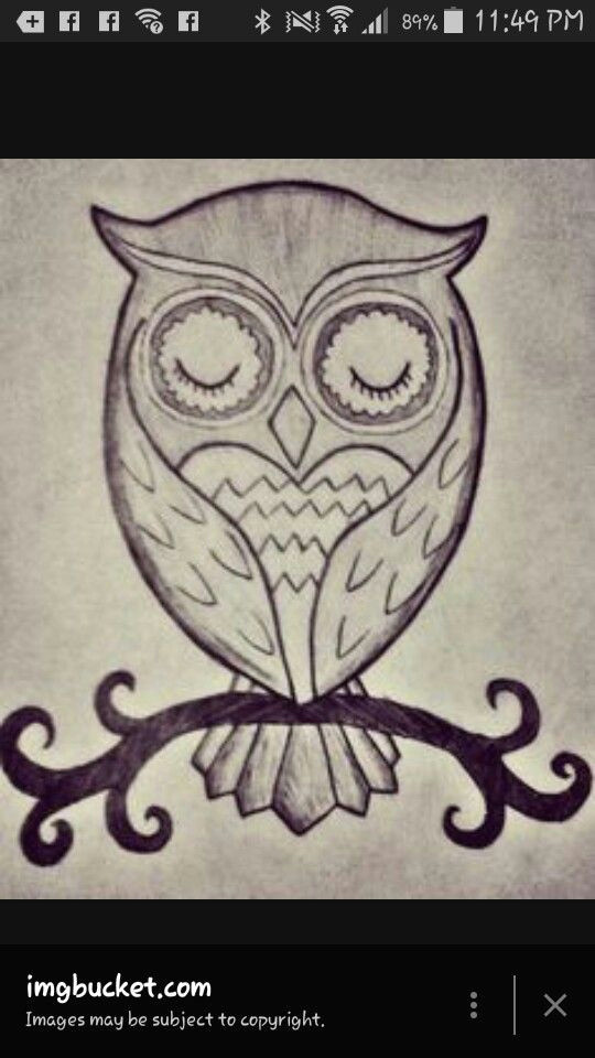 Easy Cute Owl Drawing Easy to Draw Very Cute Owl Cute Owl Drawing Drawings